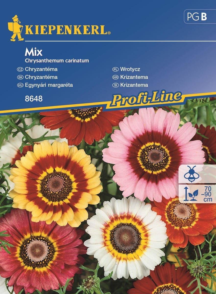 Złocień Chryzantema – Mieszanka – Kiepenkerl