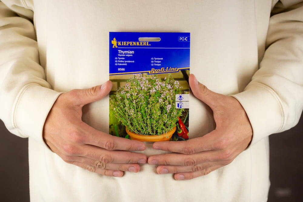 Tymianek – Wieloletni – Kiepenkerl